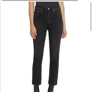 Agolde Riley High Rise Crop Jean in panoramic